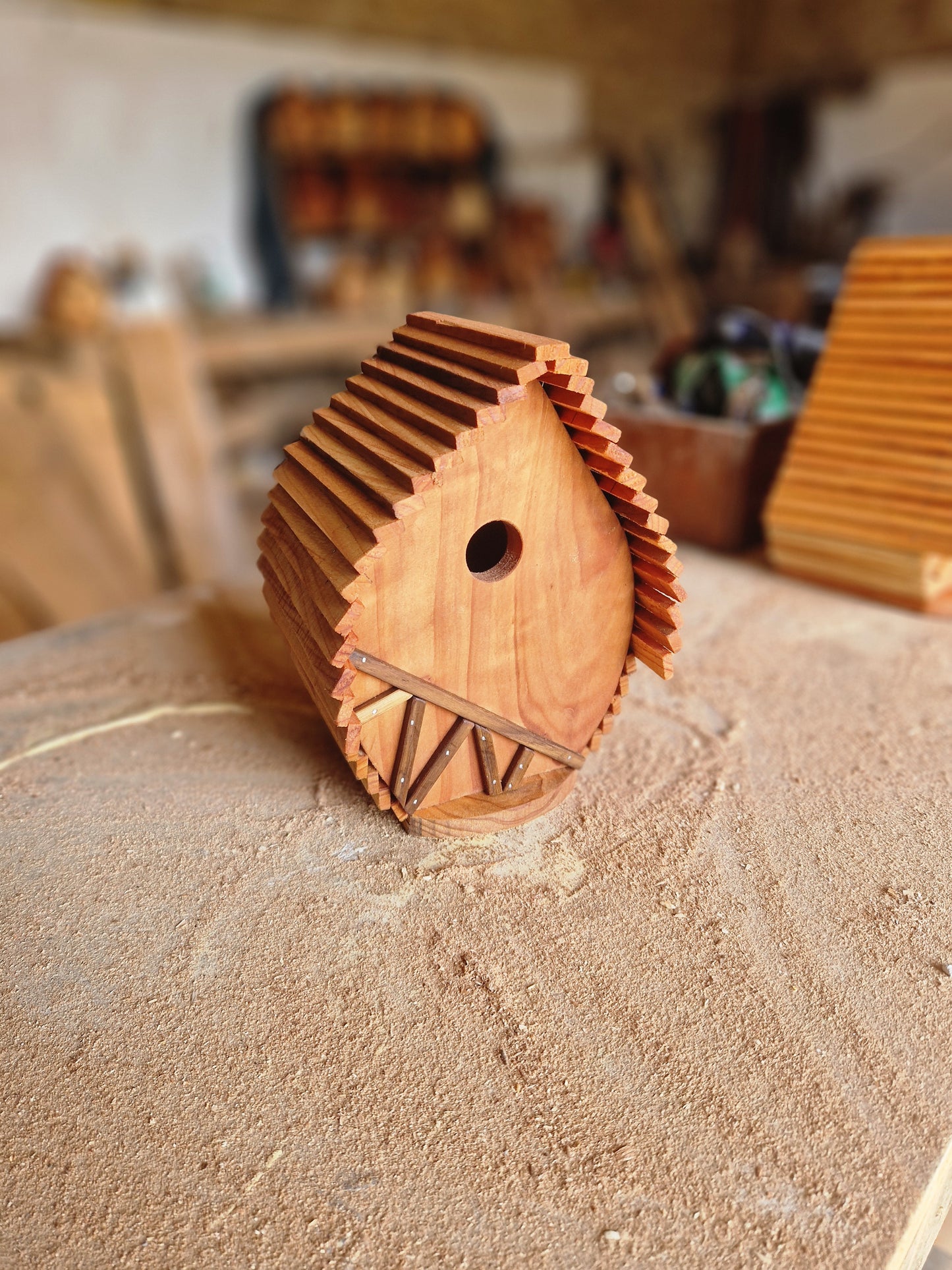 Le nid douillet N°5