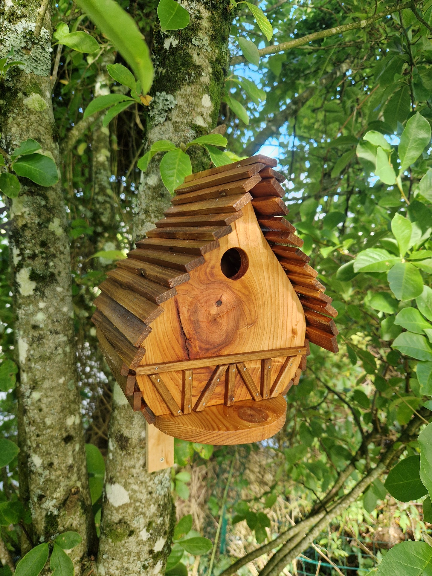 Le Natur'aile N°7