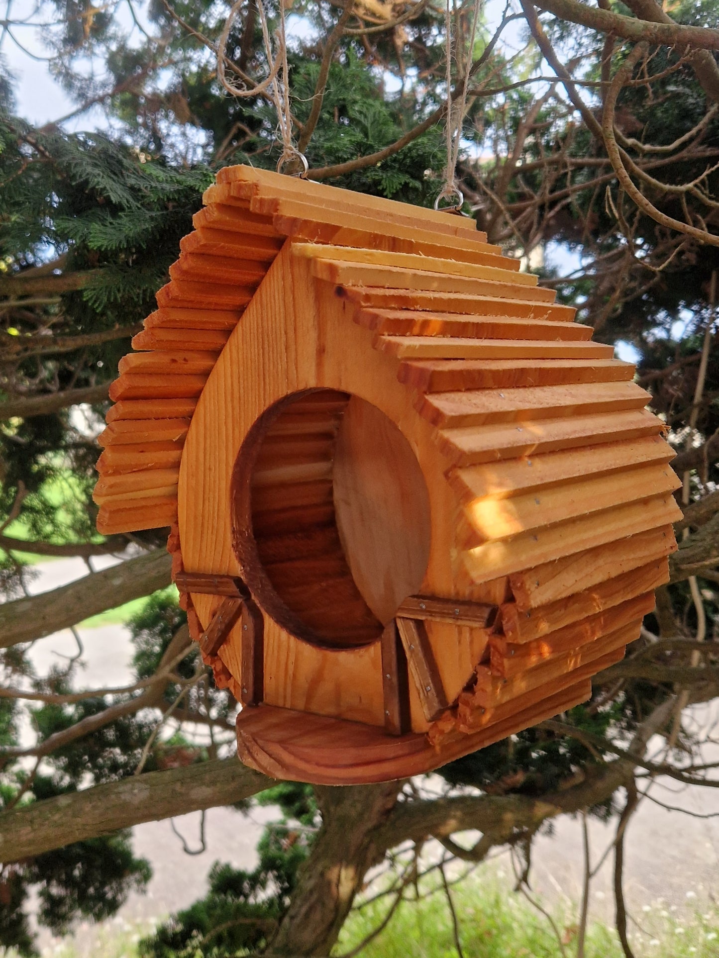 L'auberge des ailes N°1
