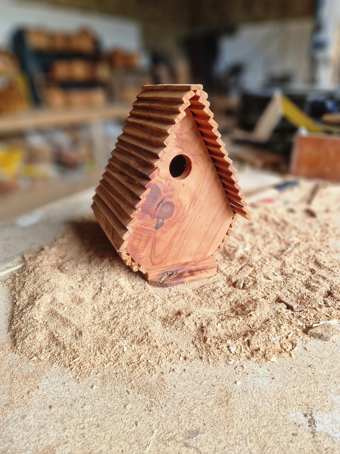 Le tipi N°3