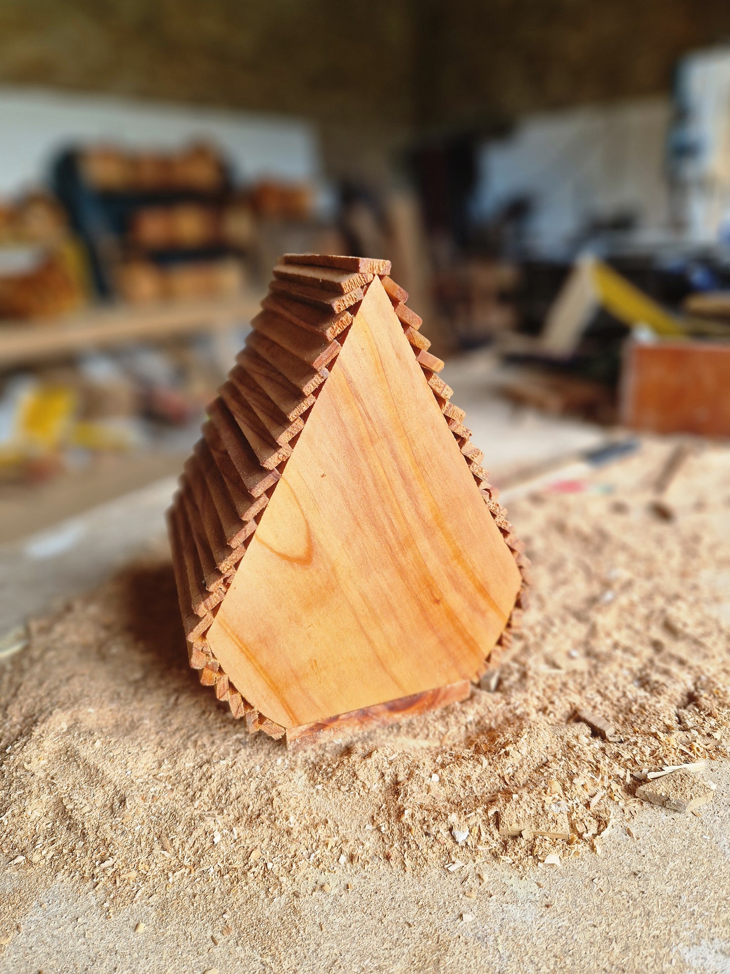 Le tipi N°3