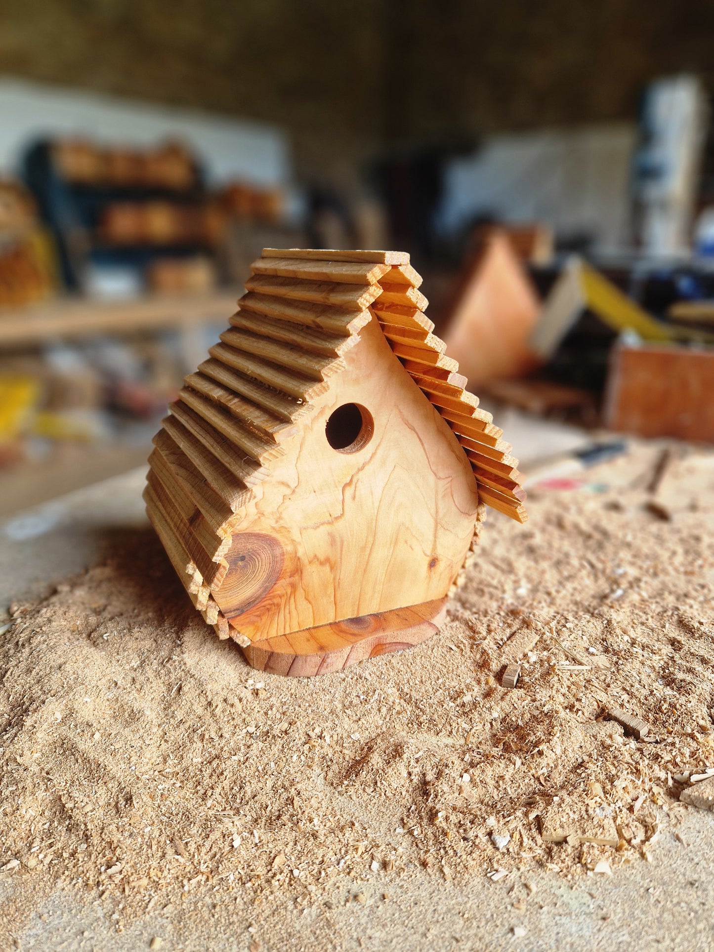 Le Natur'aile N°6