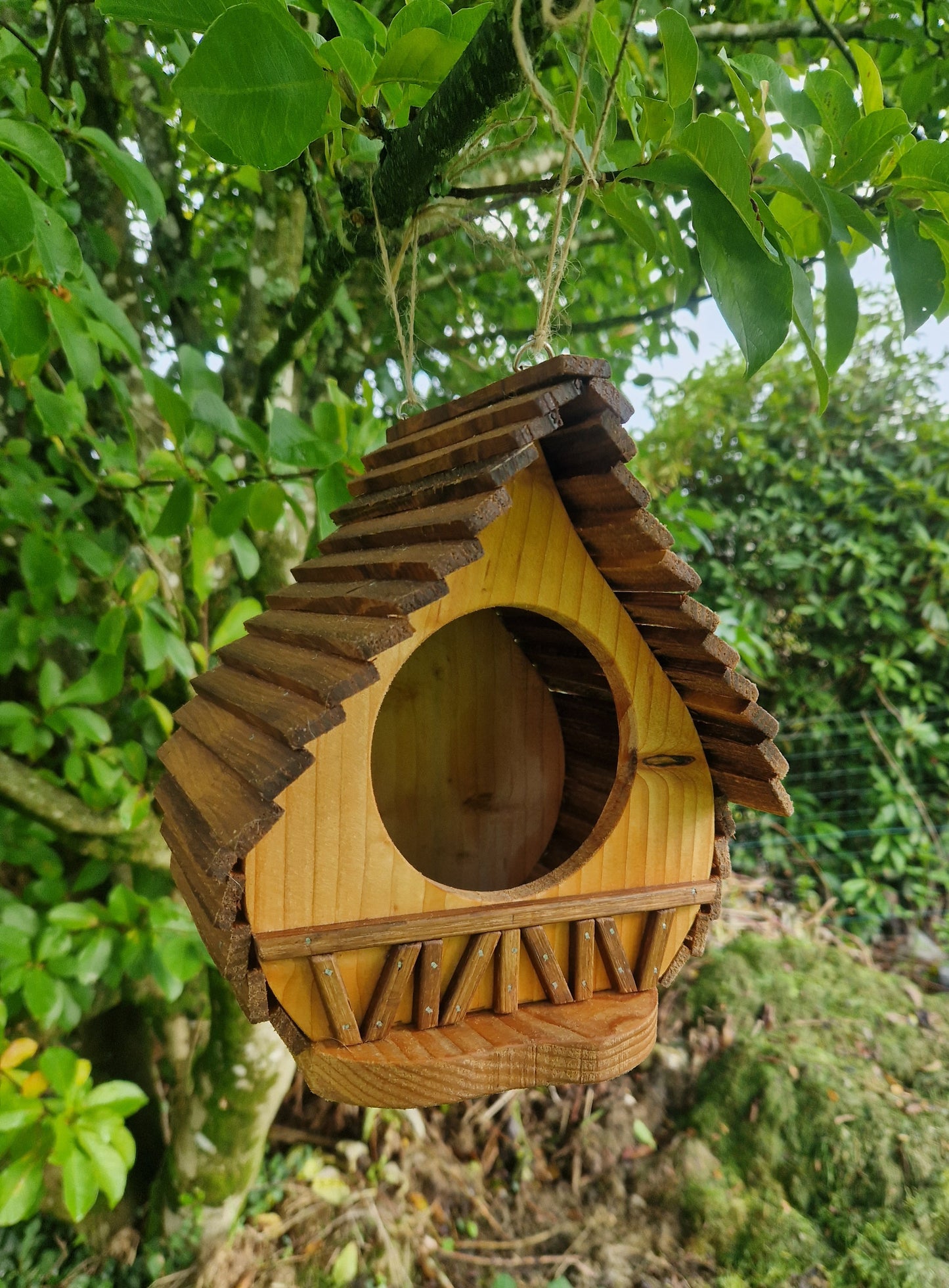 La cantine aux plumes N°2