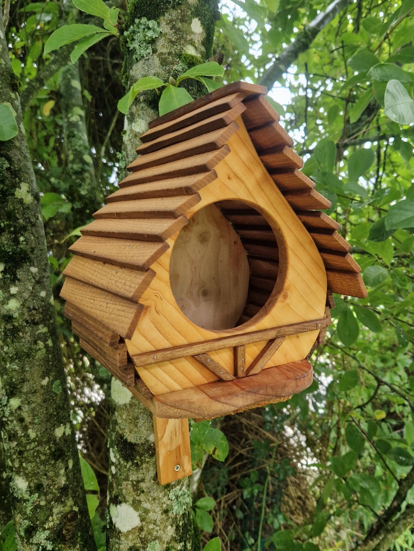 La cantine aux plumes N°3