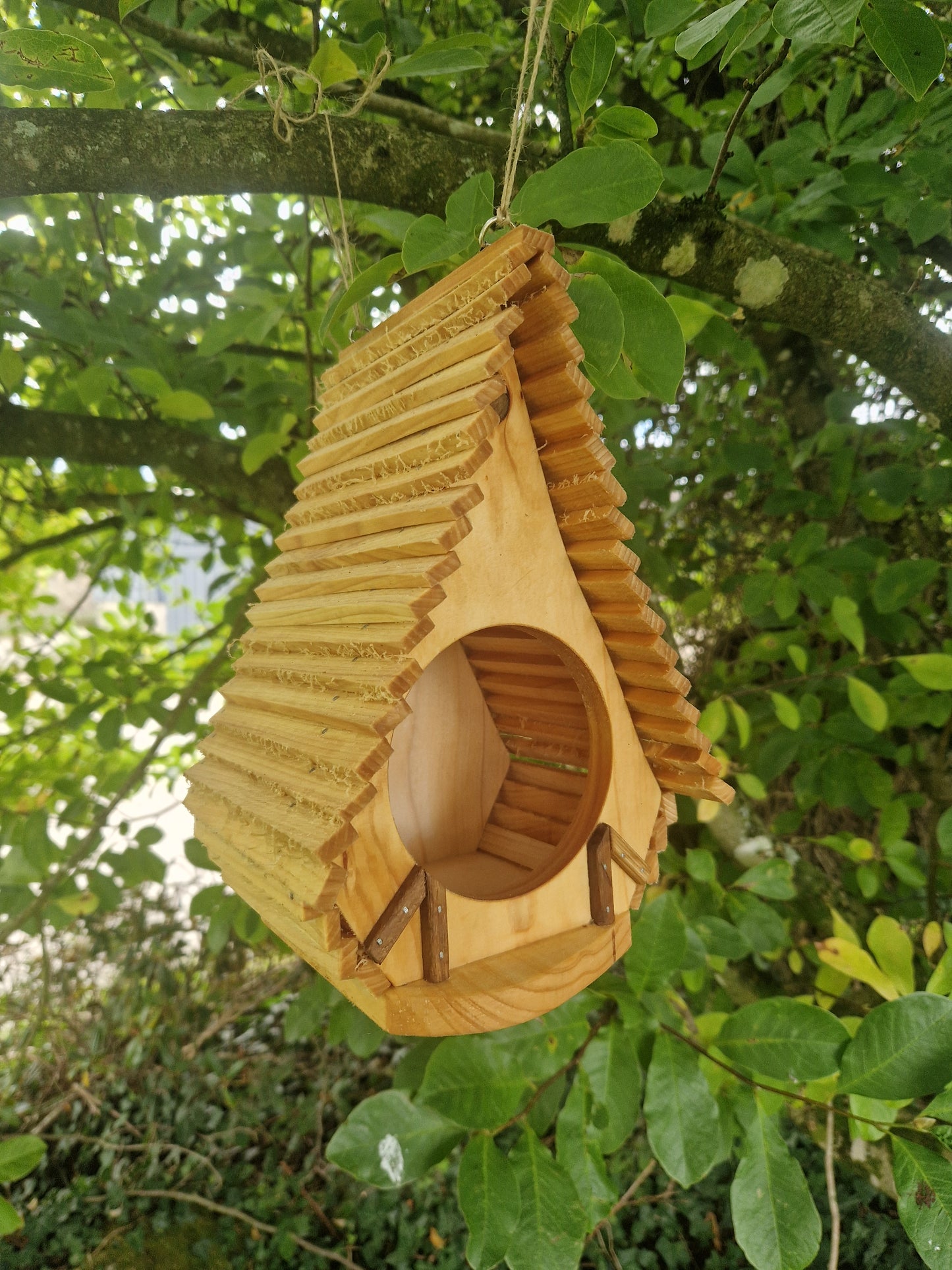 La cantine des hobbits
