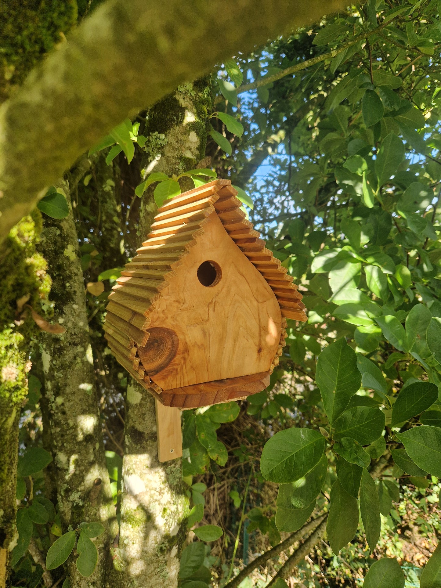 Le natur'aile N°1