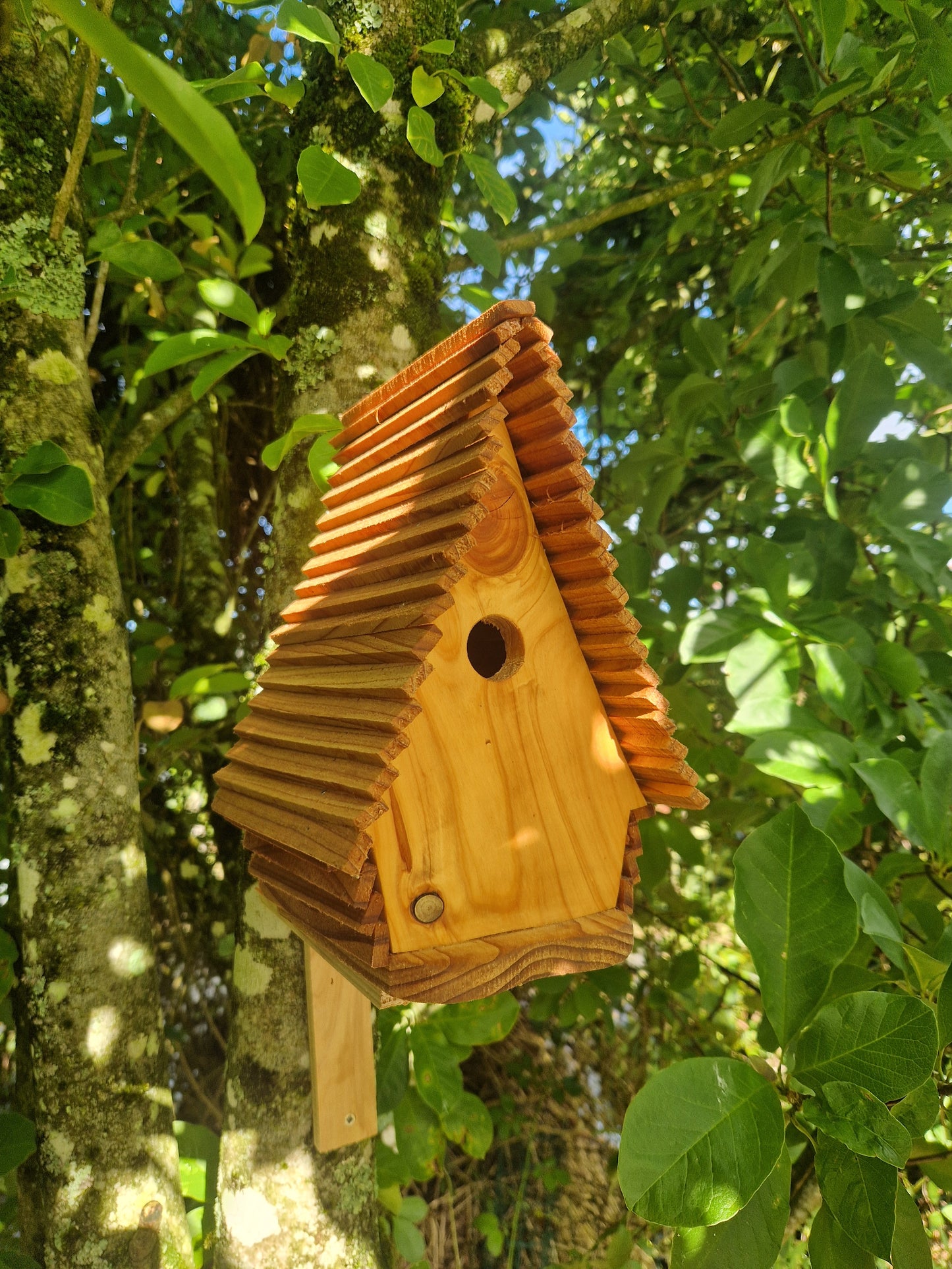 Le nid enchanté N°2