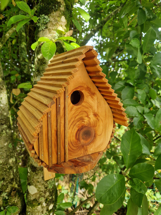 Le natur'aile N°3