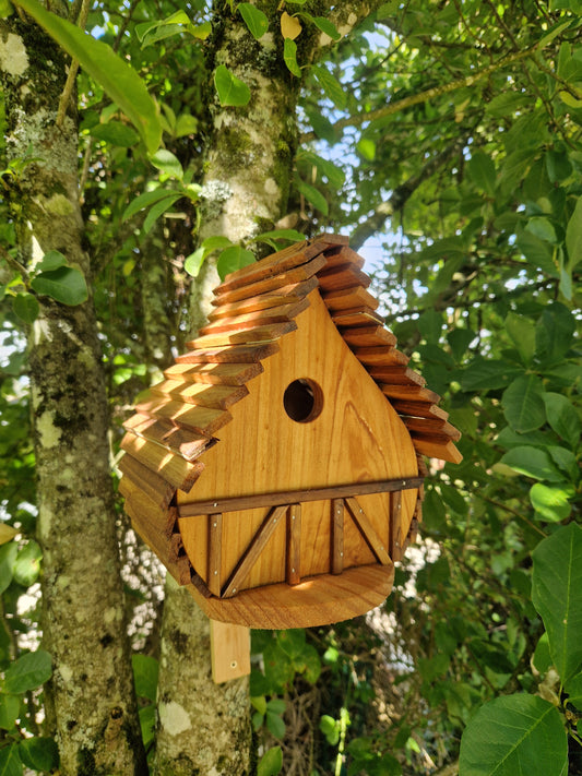 Le natur'aile N°2