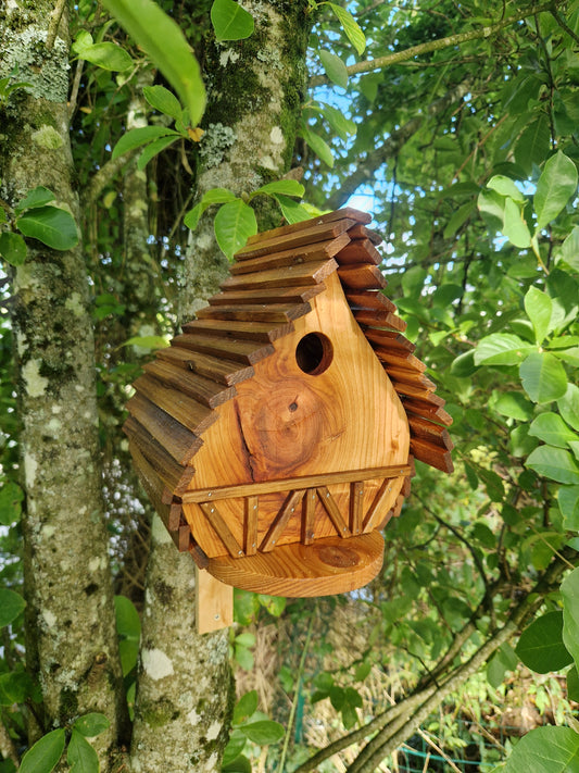 Le Natur'aile N°4