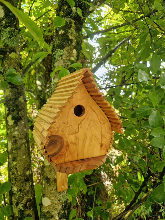 Le Natur'aile N°6