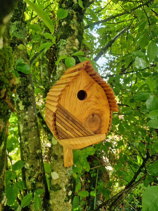 La cabane N°1