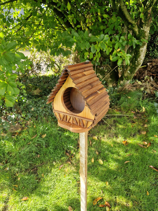 La cantine aux plumes N°2