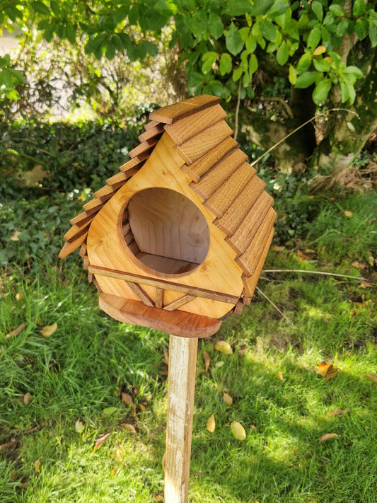 La cantine aux plumes N°3