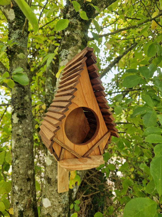 La cantine des hobbit N°4