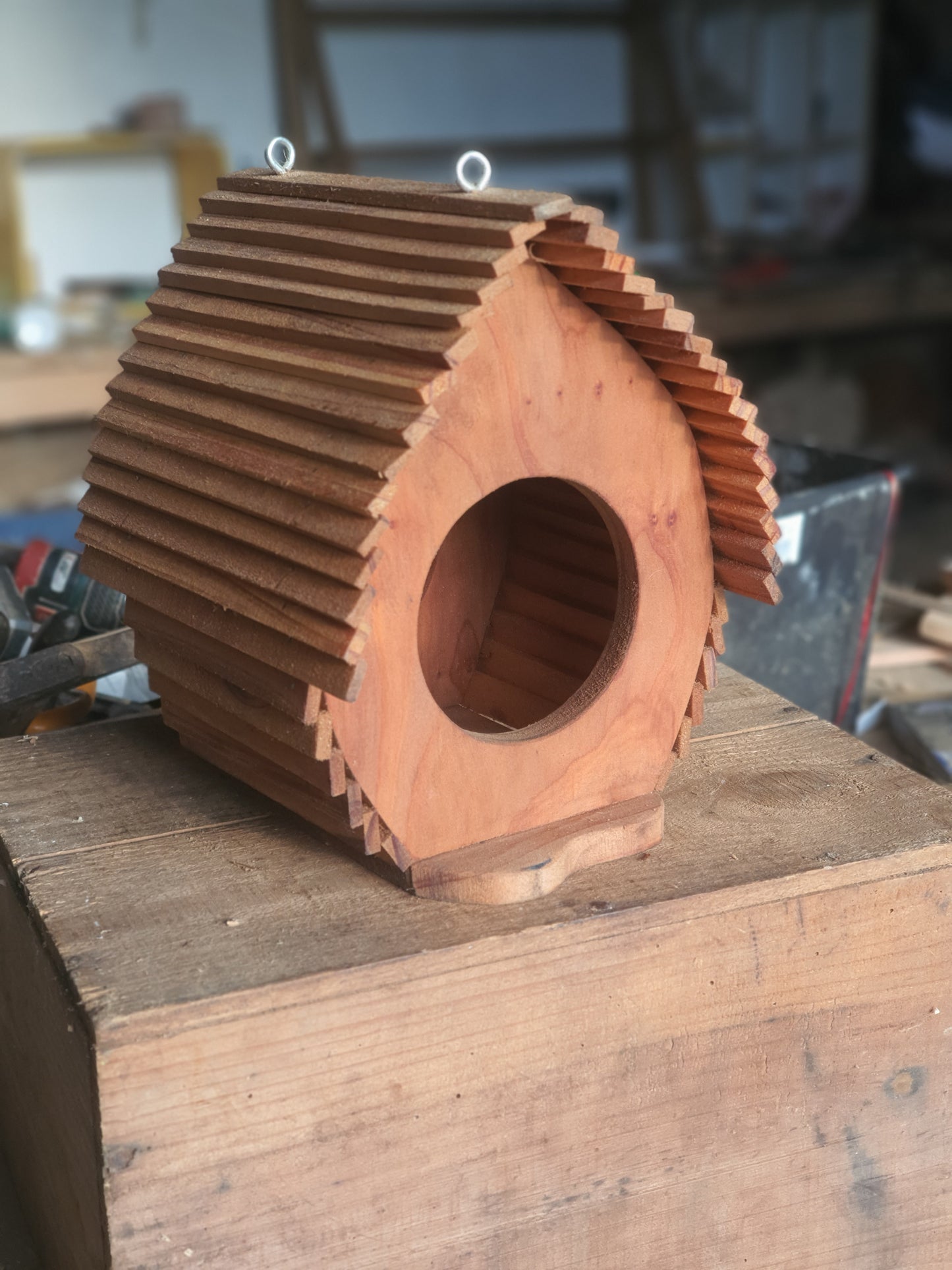 Mangeoire à suspendre "Llibre accès"