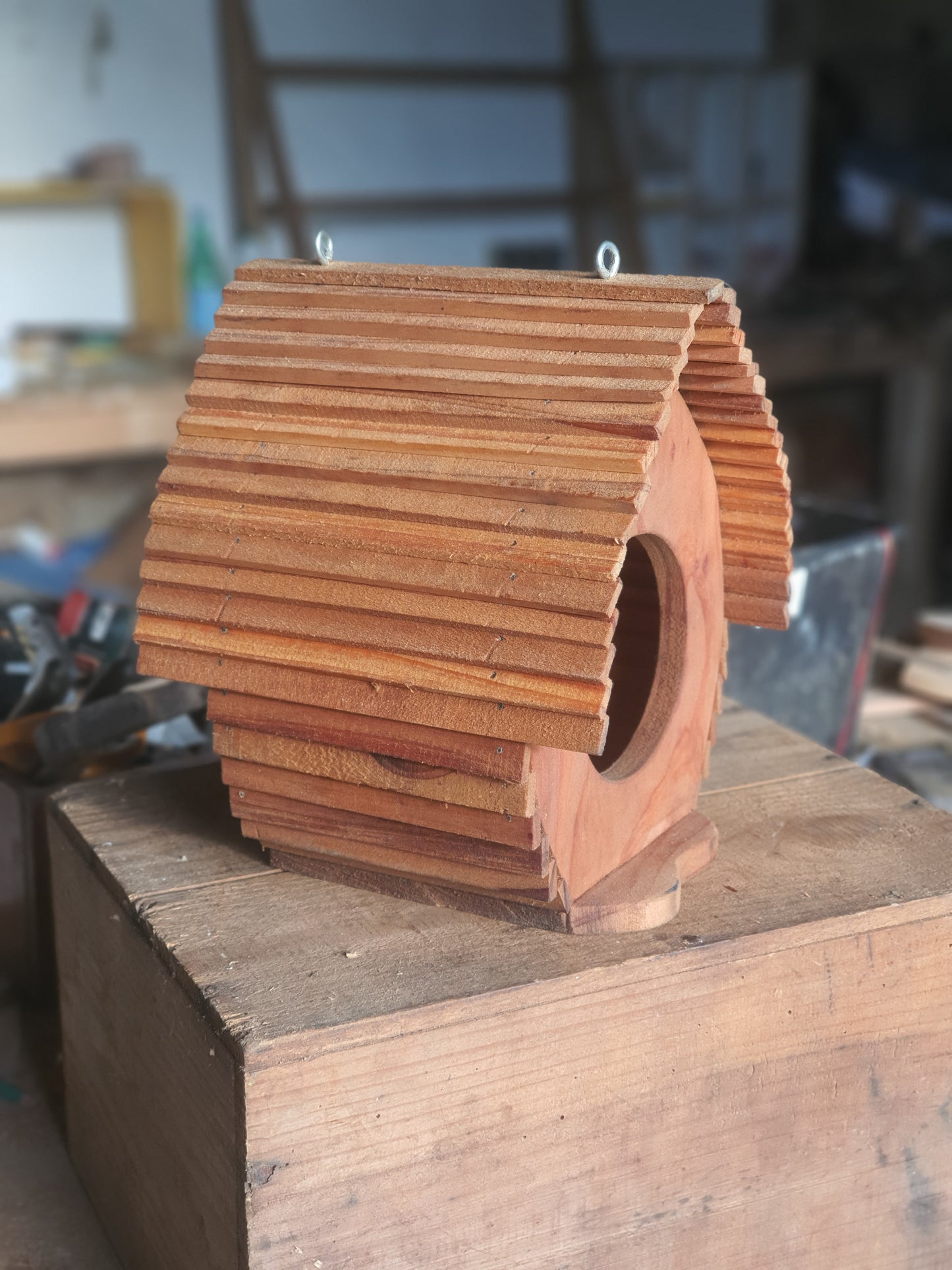 Mangeoire à suspendre "Llibre accès"