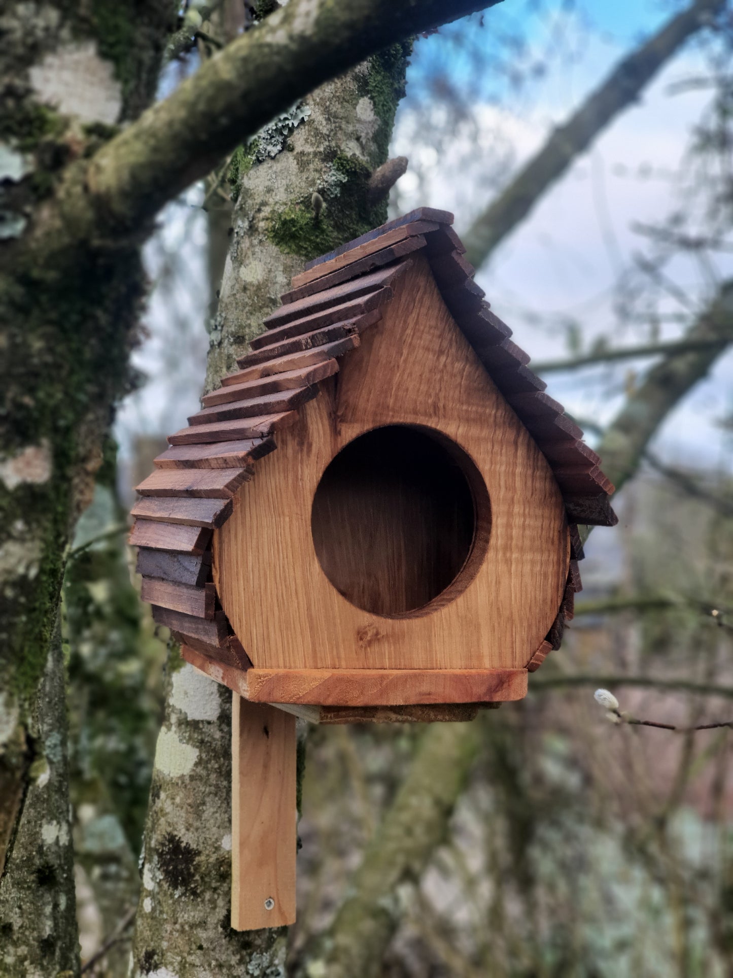 Mangeoire "Natur'aile