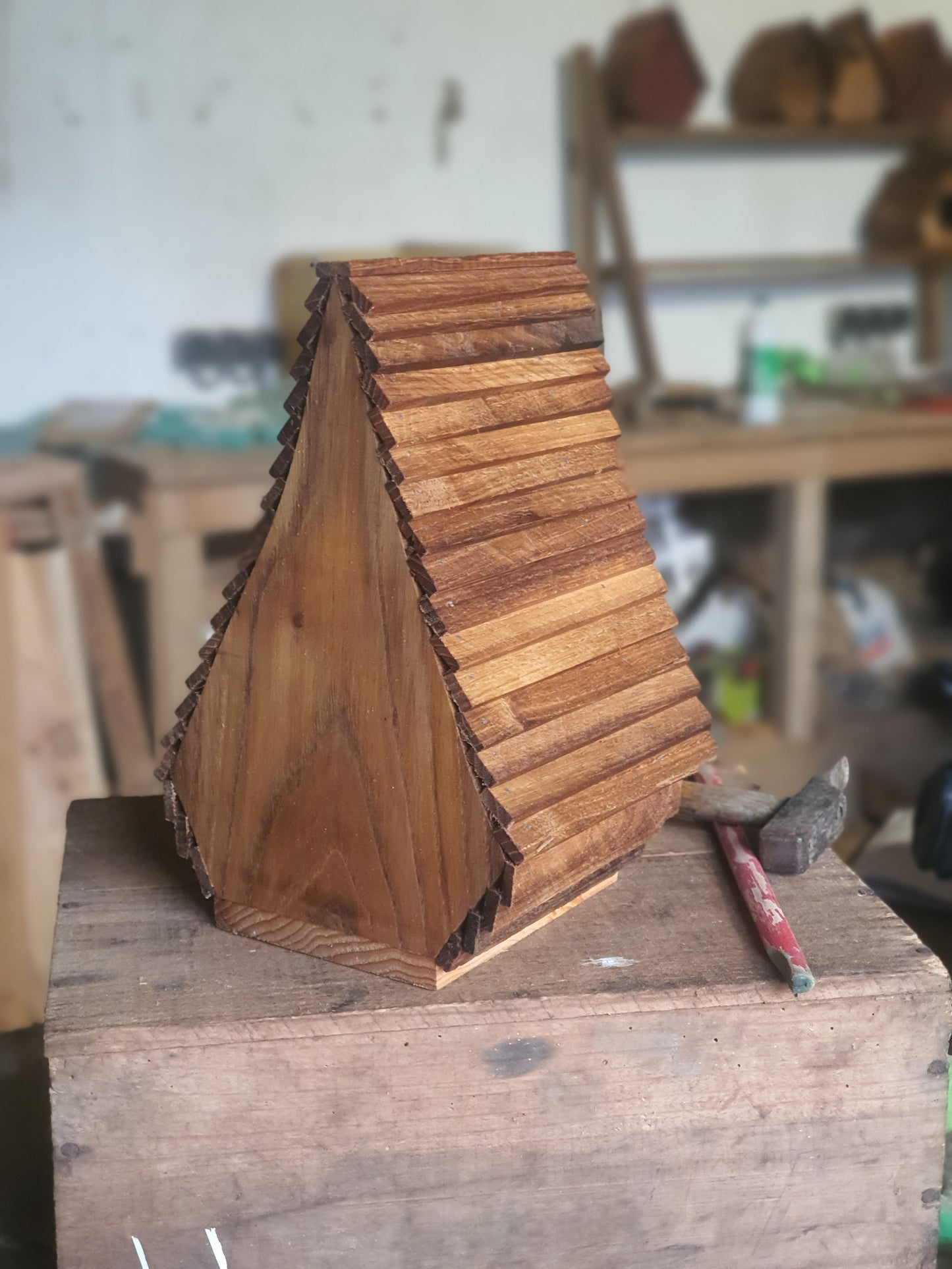 La cantine des hobbits N°5