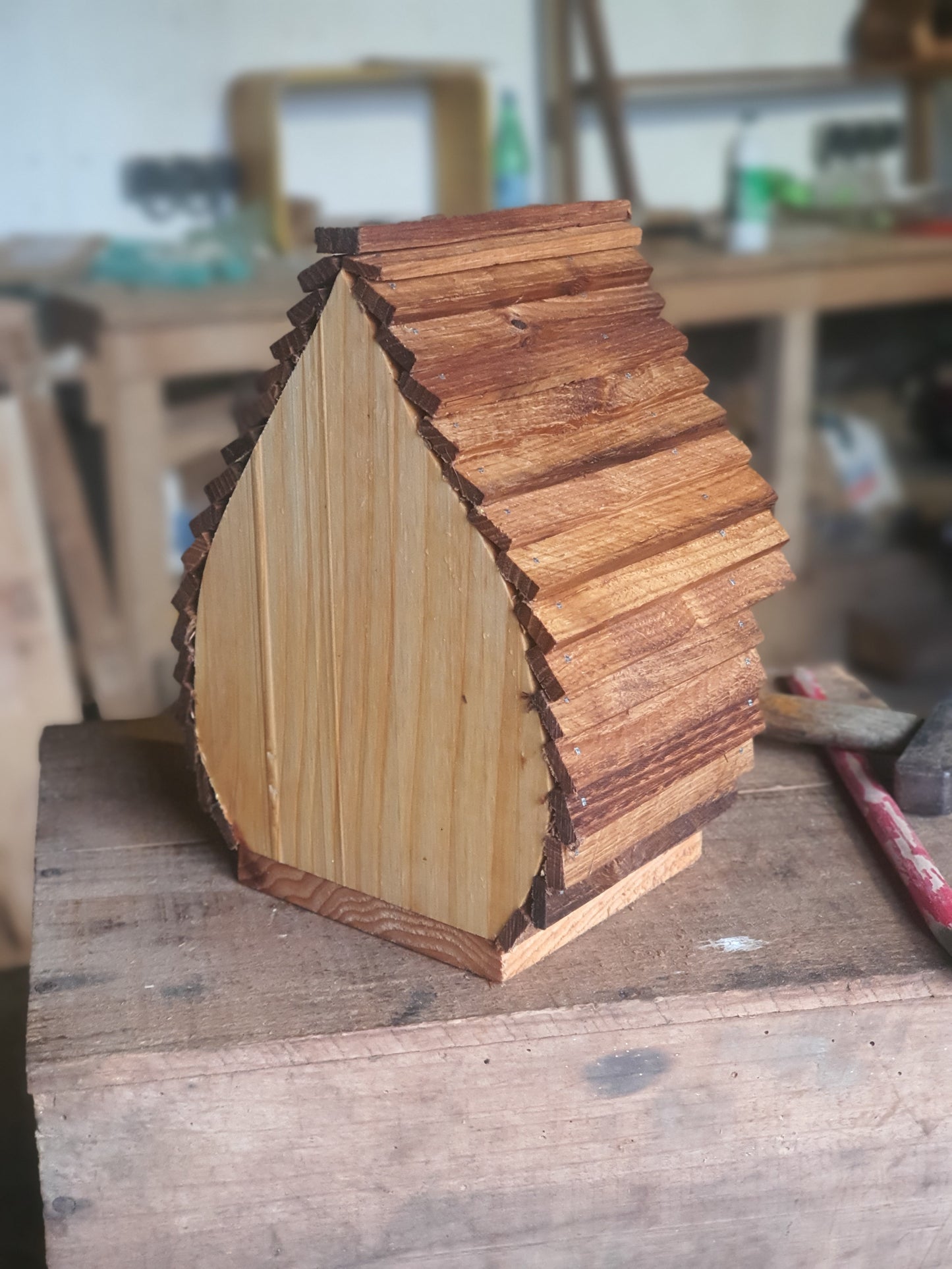 Mangeoire "Le cèdre gourmand N°1"