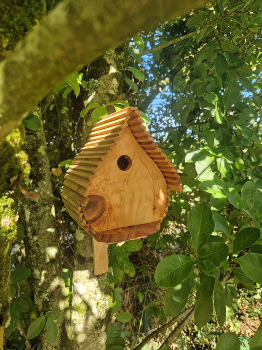 Le natur'aile N°1