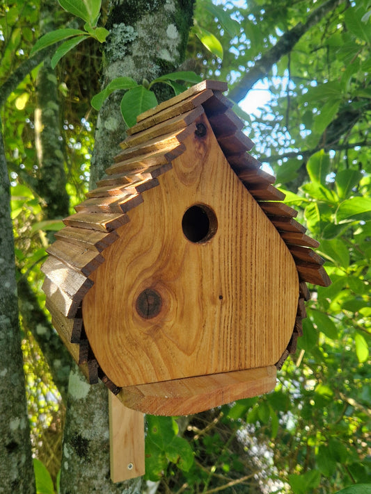 Le Natur'aile n°5